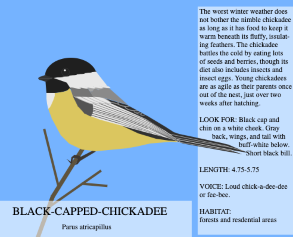Black_Cap_Chickadee_Contest_Entry_by_silverleaf12.png
