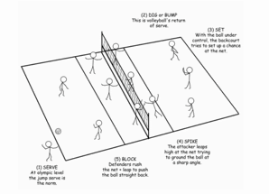 VolleyballRevised.gif
